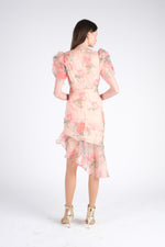 Romantic Champagne Dress