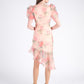 Romantic Champagne Dress